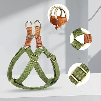 Brown vest-style dog leash with chest harness and alloy fastener on a dog.