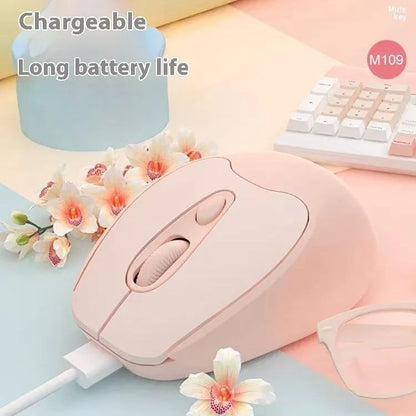 Dual-mode Bluetooth wireless mouse in multiple colours with quiet click operation