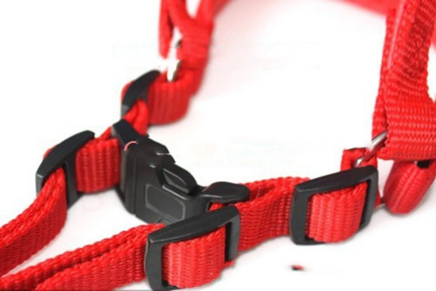Nylon dog harness with soft foam lining in blue, black or red colours