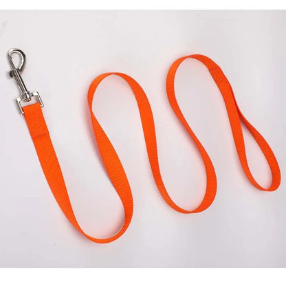 Polyester dog lead with hand-holding rope design in multiple colour options