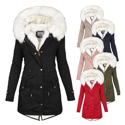 Women's cozy cotton padded jacket with a stylish white collar, available in multiple colors and sizes.