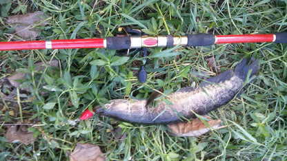 Blue PVC bait set fishing tools for durable and effective fishing