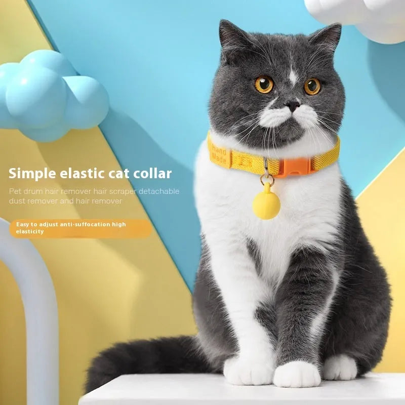 Small dog wearing elastic polyester collar in sky blue colour, showing stretch fit around neck