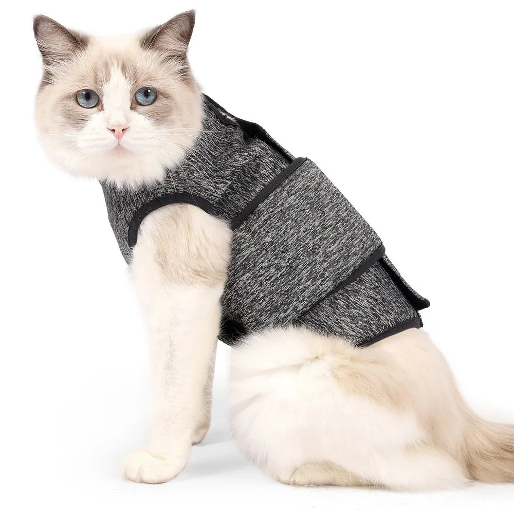 Dark grey double-layer cat clothing with European-American styling and sterilisation suit