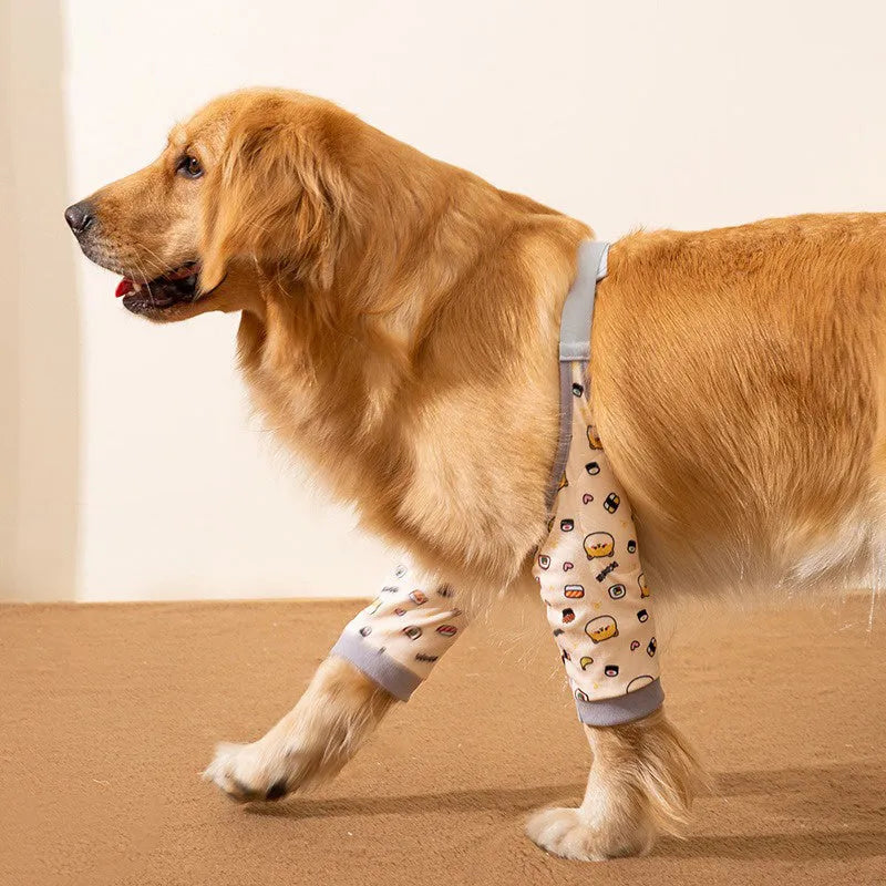 Blue dog knee protector sleeve with elbow padding and scarf on a medium-sized dog