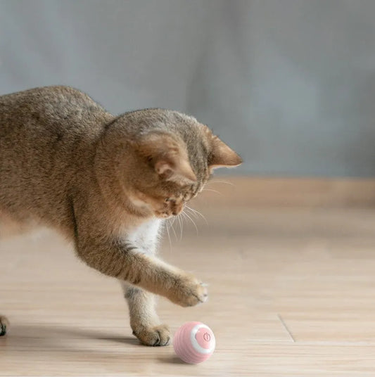 Blue automatic cat toy ball bouncing on floor with silicone construction and rechargeable design