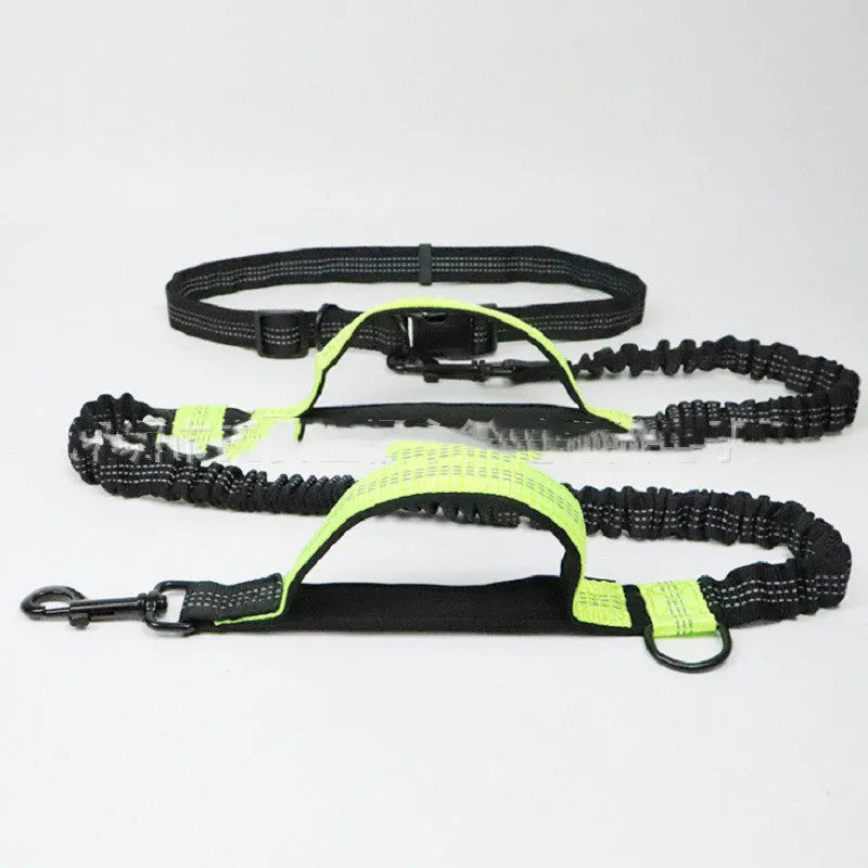 Blue polyester multifunctional dog walking belt and retractable leash shown on a person's waist.