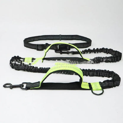 Blue polyester multifunctional dog walking belt and retractable leash shown on a person's waist.