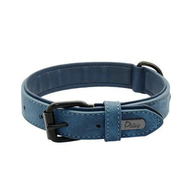 Adjustable anti-loss dog collar showing double-layer thickening construction in multiple colour options