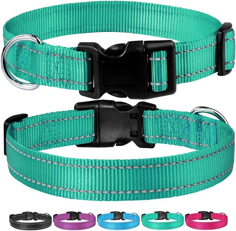 Adjustable nylon dog collar with chest strap in multiple colour options for secure walking