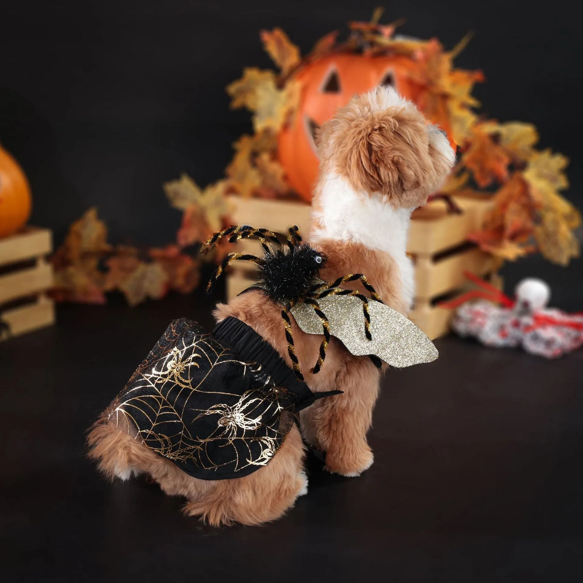 Halloween dog costume suit in polyester fabric, sizes S to XL, for unisex pets