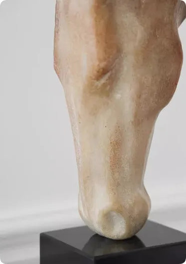Abstract horse head sculpture with carved surface, measuring 14x12x50cm for desktop display