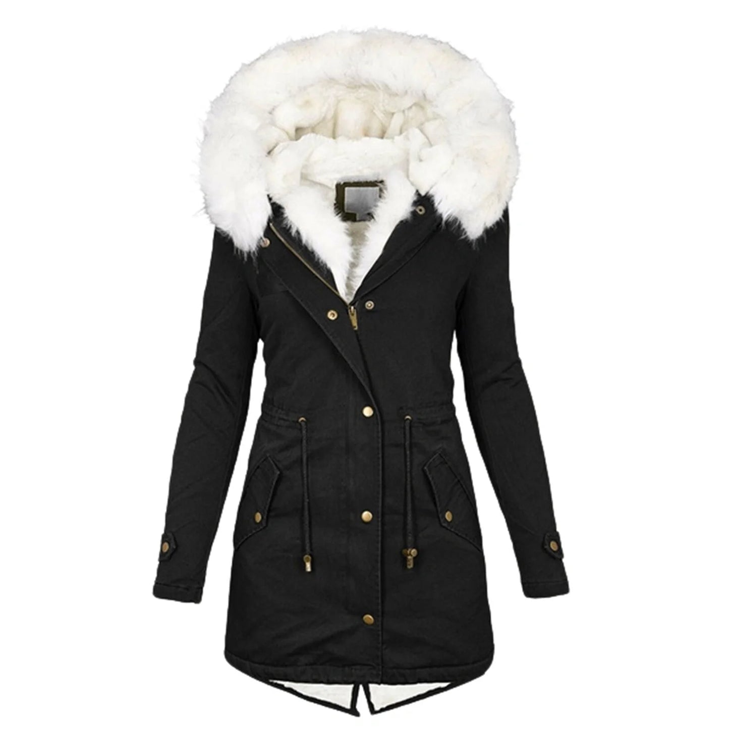 Women's cozy cotton padded jacket with a stylish white collar, available in multiple colors and sizes.