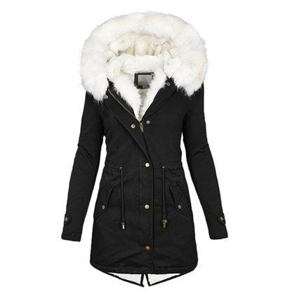 Women's cozy cotton padded jacket with a stylish white collar, available in multiple colors and sizes.