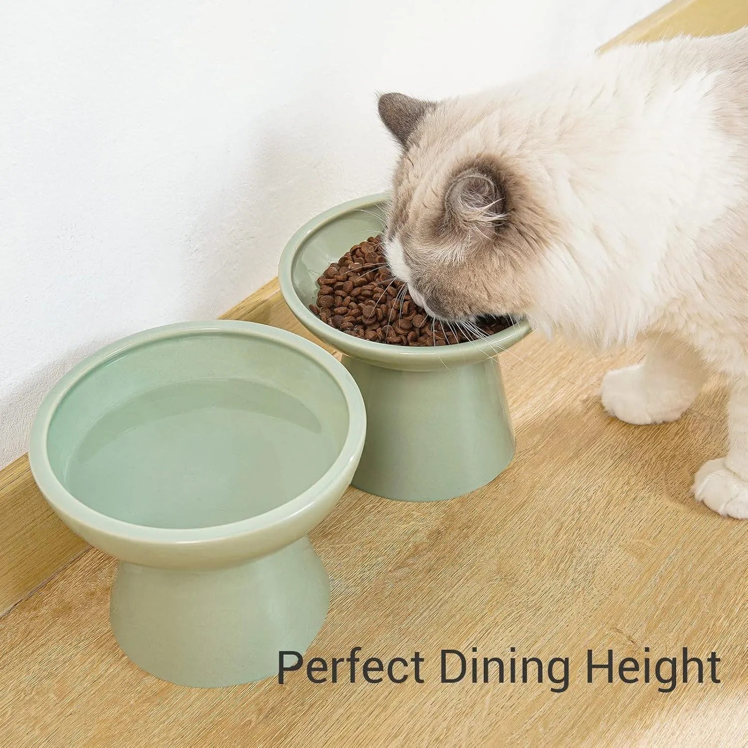 Elevated wide shallow ceramic cat food and water bowl in blue, green, pink, or white colour options.