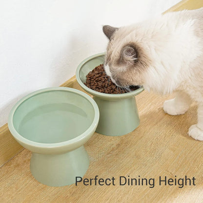 Elevated wide shallow ceramic cat food and water bowl in blue, green, pink, or white colour options.