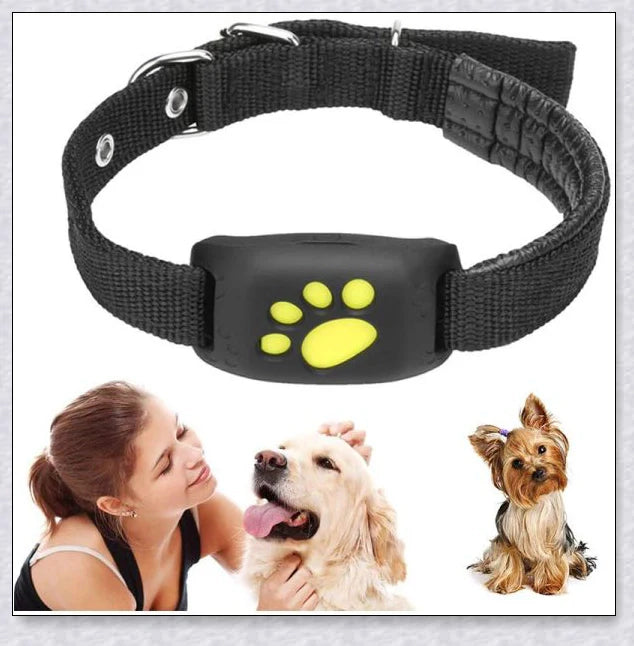 Smart GPS Cat Collar with real-time tracking, waterproof design, and long-lasting battery life