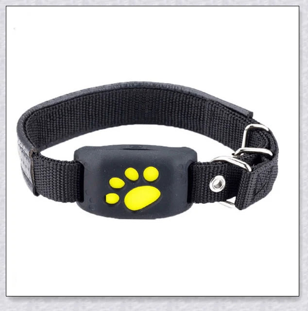 Smart GPS Cat Collar with real-time tracking, waterproof design, and long-lasting battery life