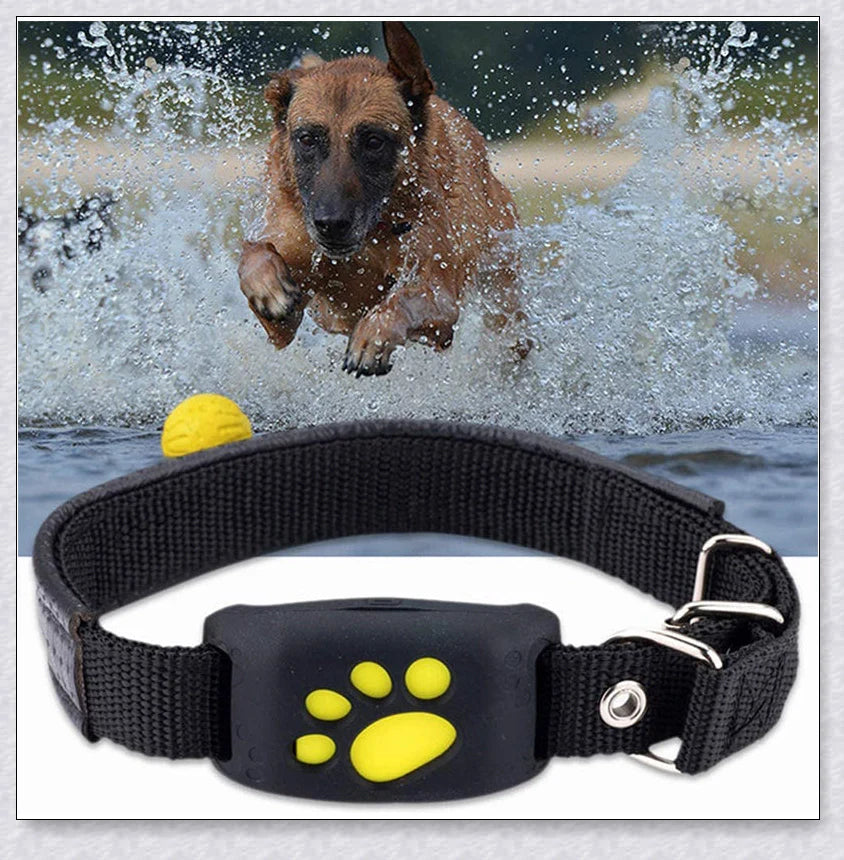 Smart GPS Cat Collar with real-time tracking, waterproof design, and long-lasting battery life
