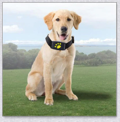 Smart GPS Cat Collar with real-time tracking, waterproof design, and long-lasting battery life