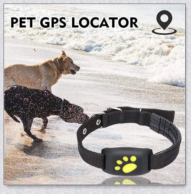 Smart GPS Cat Collar with real-time tracking, waterproof design, and long-lasting battery life