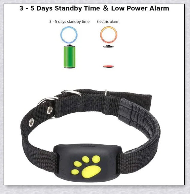 Smart GPS Cat Collar with real-time tracking, waterproof design, and long-lasting battery life