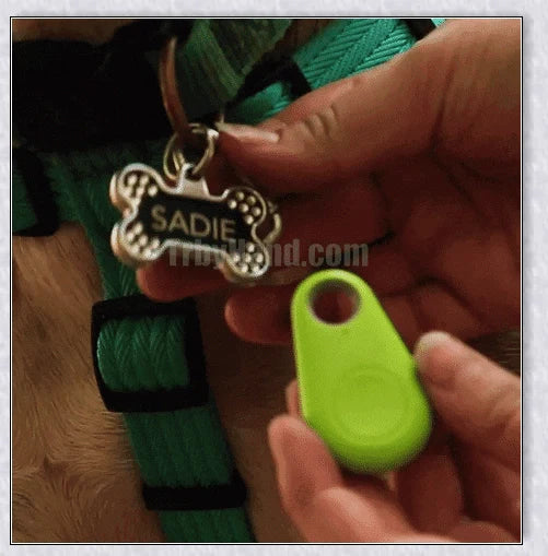 Pets GPS Tracker and Activity Monitor for Dogs and Cats with Waterproof Housing and Real-Time Location Tracking