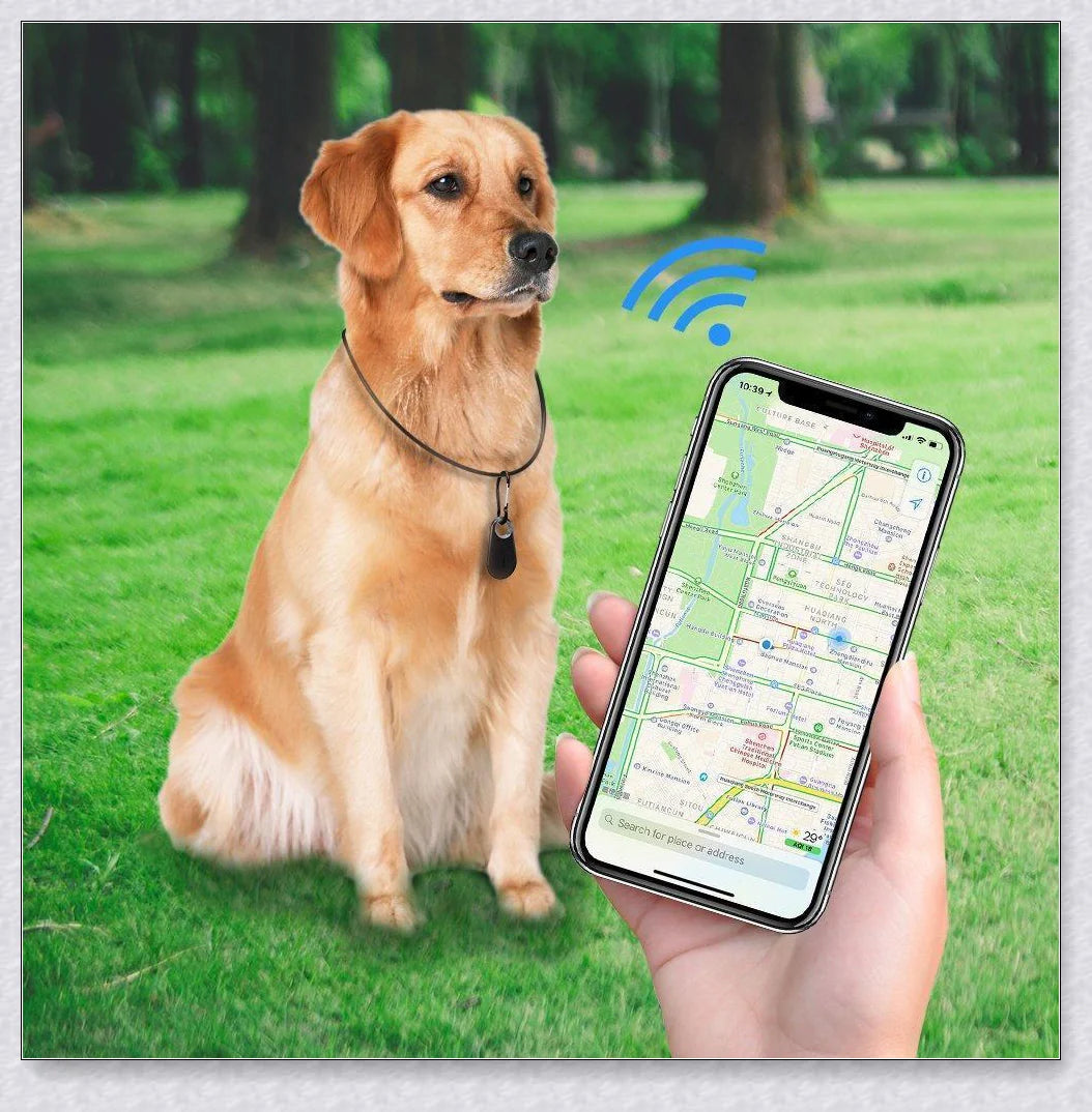Pets GPS Tracker and Activity Monitor for Dogs and Cats with Waterproof Housing and Real-Time Location Tracking