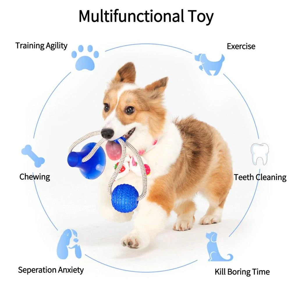 Green multifunctional pet cleaning toy with grooves and textures for teeth cleaning and chewing