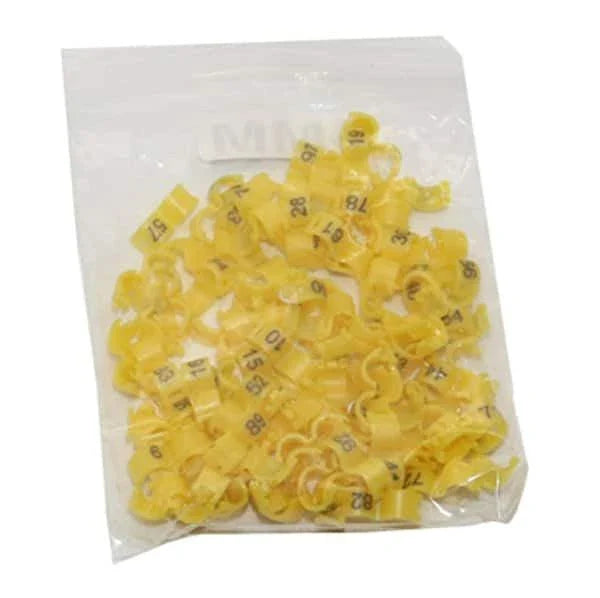 Colorful plastic clip rings in various sizes for attaching to bird's legs