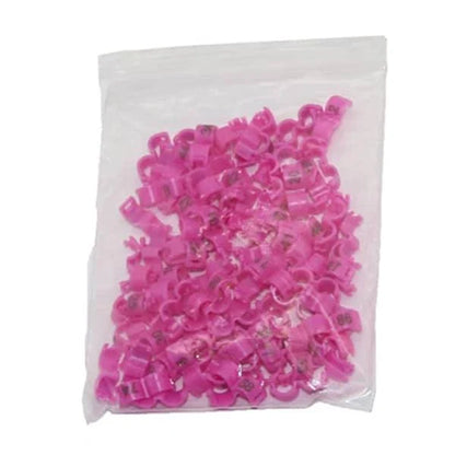 Colorful plastic clip rings in various sizes for attaching to bird's legs