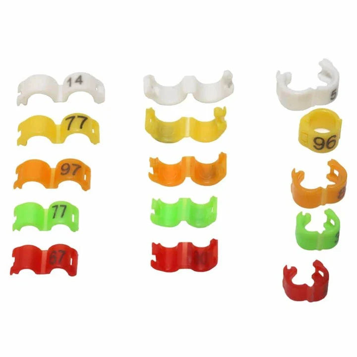 Colorful plastic clip rings in various sizes for attaching to bird's legs
