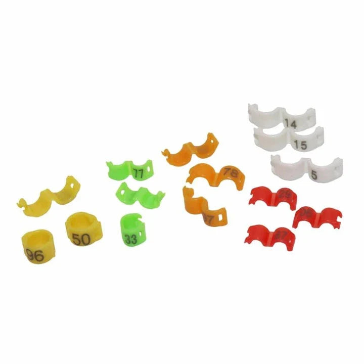 Colorful plastic clip rings in various sizes for attaching to bird's legs