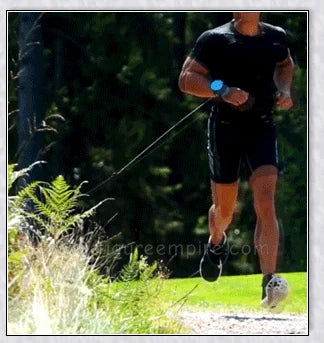 Hands Retractable Dog Leash with adjustable wrist strap and 3M reflective strip for visibility and hands-free control