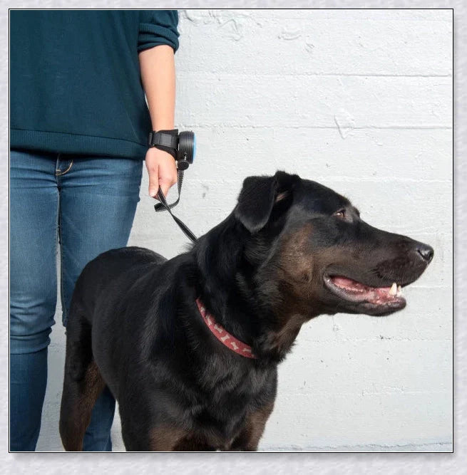 Hands Retractable Dog Leash with adjustable wrist strap and 3M reflective strip for visibility and hands-free control