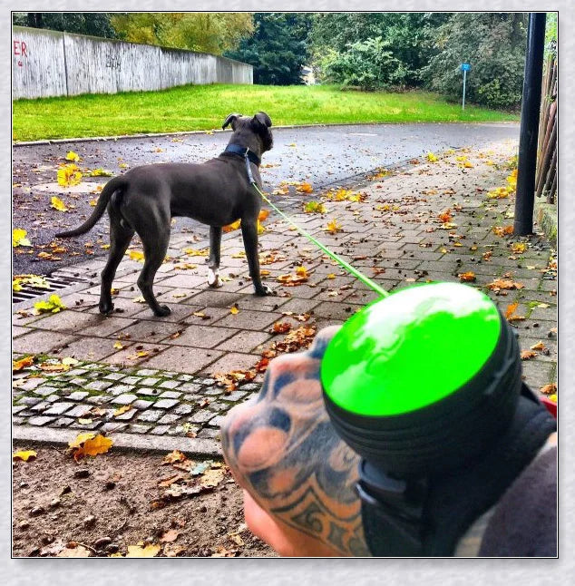 Hands Retractable Dog Leash with adjustable wrist strap and 3M reflective strip for visibility and hands-free control