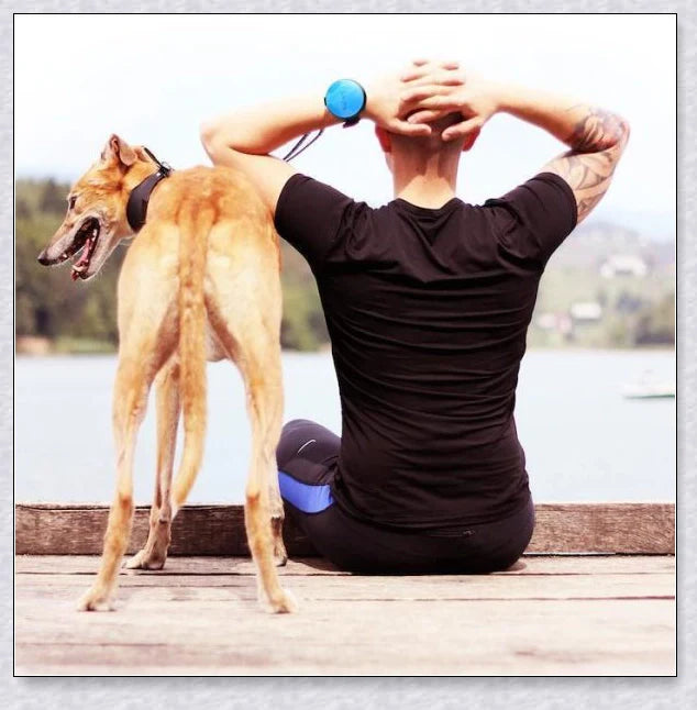 Hands Retractable Dog Leash with adjustable wrist strap and 3M reflective strip for visibility and hands-free control