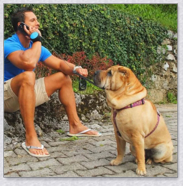 Hands Retractable Dog Leash with adjustable wrist strap and 3M reflective strip for visibility and hands-free control