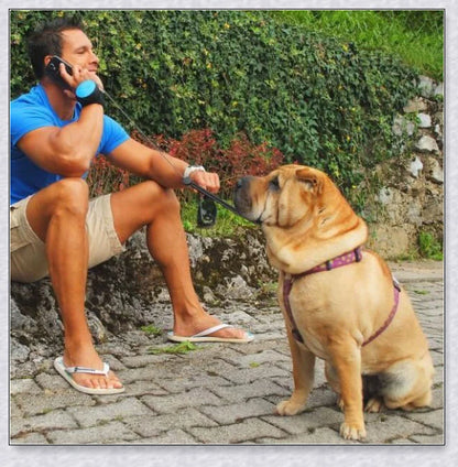 Hands Retractable Dog Leash with adjustable wrist strap and 3M reflective strip for visibility and hands-free control