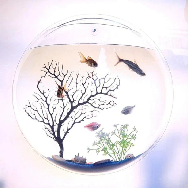 Hanging Globular Acrylic Aquarium with various size options, featuring clear acrylic construction and a captivating design for an underwater display in your home.