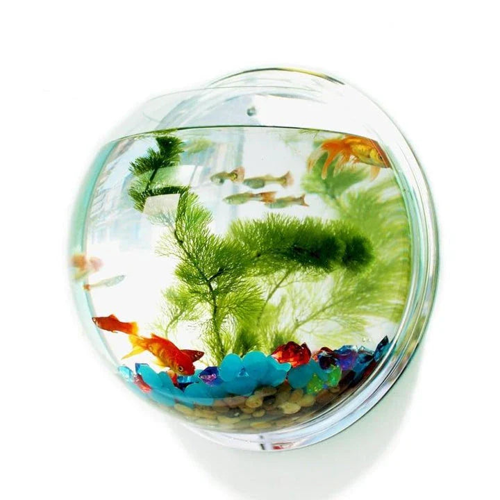 Hhomeenjoy Hanging Globular Acrylic Aquarium