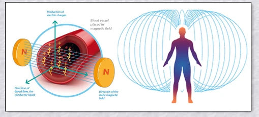 A stylish magnetic bracelet designed to stimulate lymphatic drainage and improve overall circulation for better health and wellness.