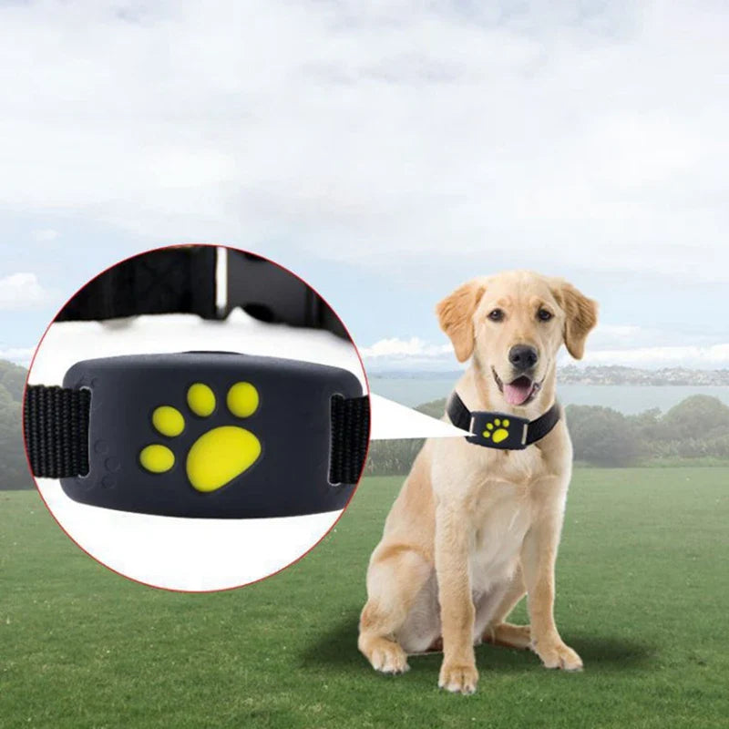 GPS Cat Tracker device with black collar for pet safety and location tracking