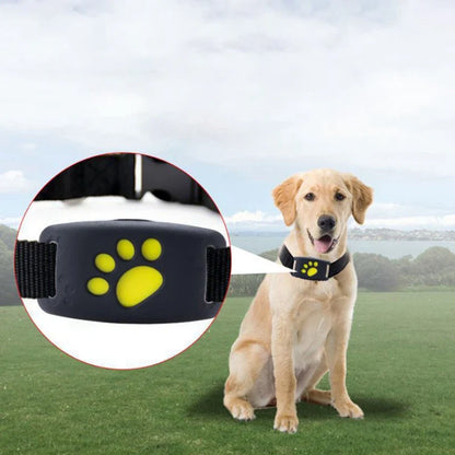 GPS Cat Tracker device with black collar for pet safety and location tracking