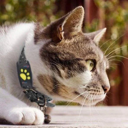 GPS Cat Tracker device with black collar for pet safety and location tracking