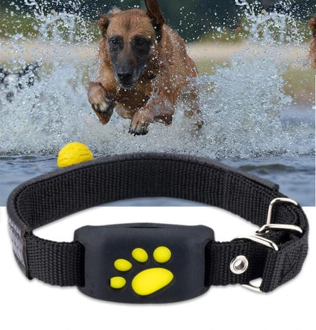 GPS Cat Tracker device with black collar for pet safety and location tracking