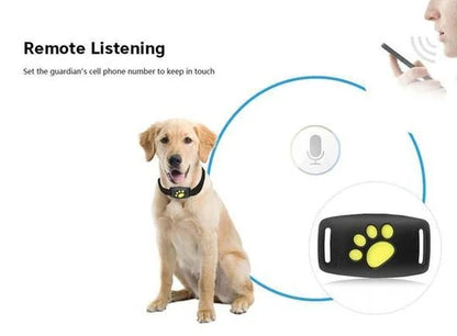 GPS Cat Tracker device with black collar for pet safety and location tracking