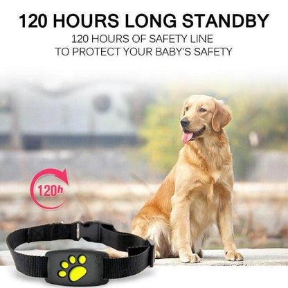 GPS Cat Tracker device with black collar for pet safety and location tracking