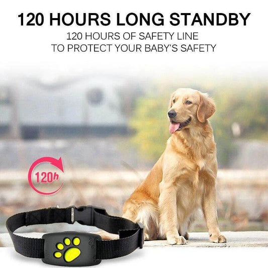 GPS Cat Tracker device with black collar for pet safety and location tracking
