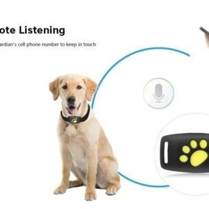 GPS Cat Tracker device with black collar for pet safety and location tracking